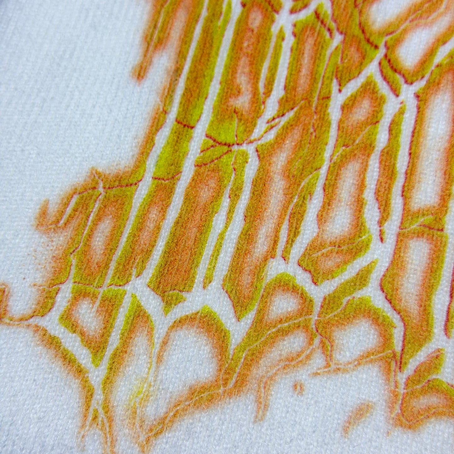 ČEPICE „ICEDOUT WINTER 25“ (WHITE)