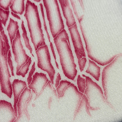 ČEPICE „ICEDOUT WINTER 25“ (WHITE)