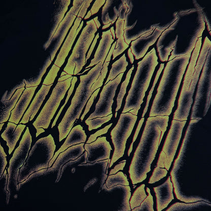 MIKINA „ICEDOUT WINTER 25“ CLASSIC (BLACK)