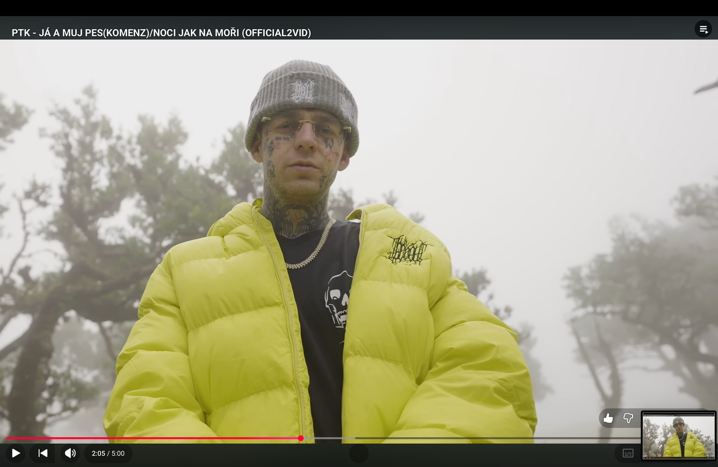 ČEPICE "ICEDOUT" (GREY)