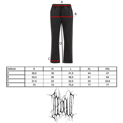 TEPLÁKY „ICEDOUT WINTER 25“ (WASHED GREY)